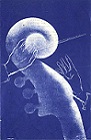 1966-F20 Program